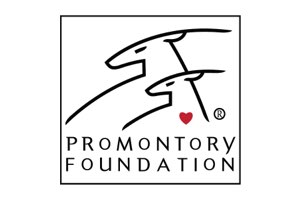 Promontory Foundation logo